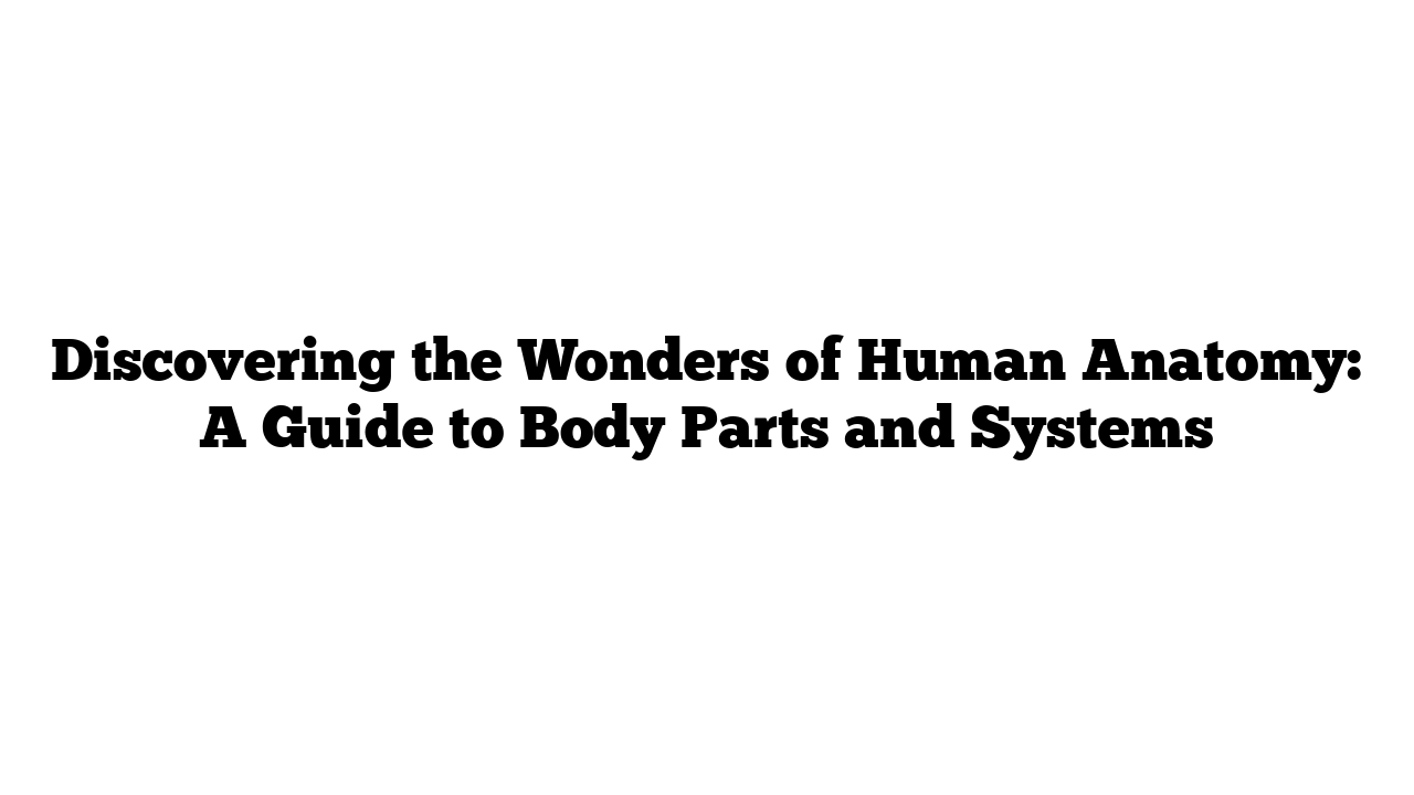 Discovering the Wonders of Human Anatomy: A Guide to Body Parts and Systems