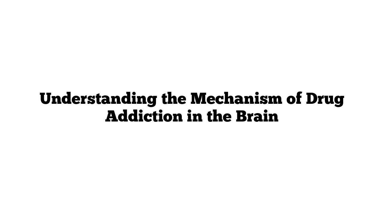 Understanding the Mechanism of Drug Addiction in the Brain